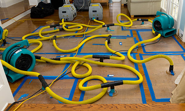 Professional Sewage Cleanup technician working in Waterford, VA